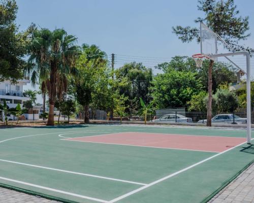 basketball court